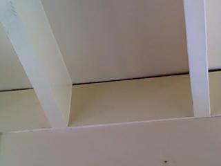 Infrared Image Ceiling Leak  (5)